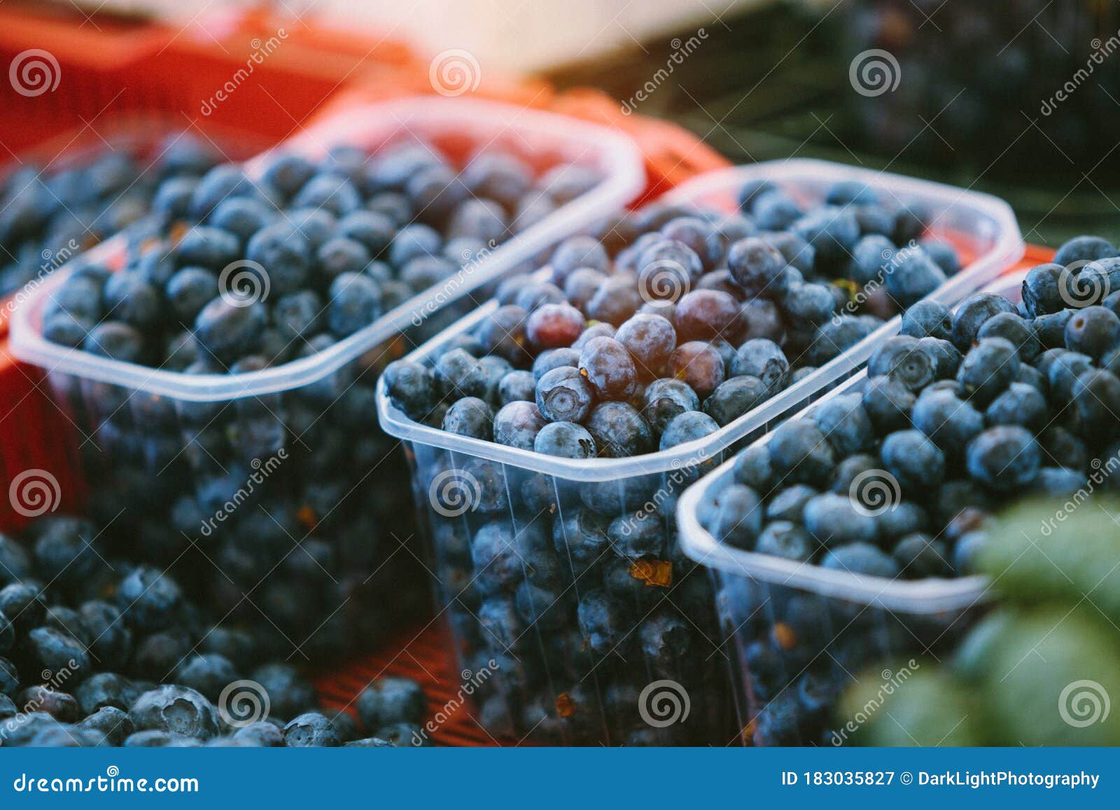 Fresh Blueberries at Farmers` Market Stock Image Image of people