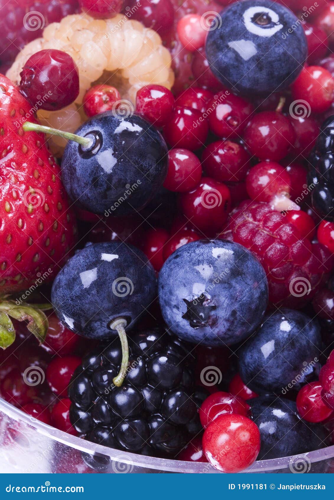 Blueberries with fruits stock image. Image of cranberry 1991181