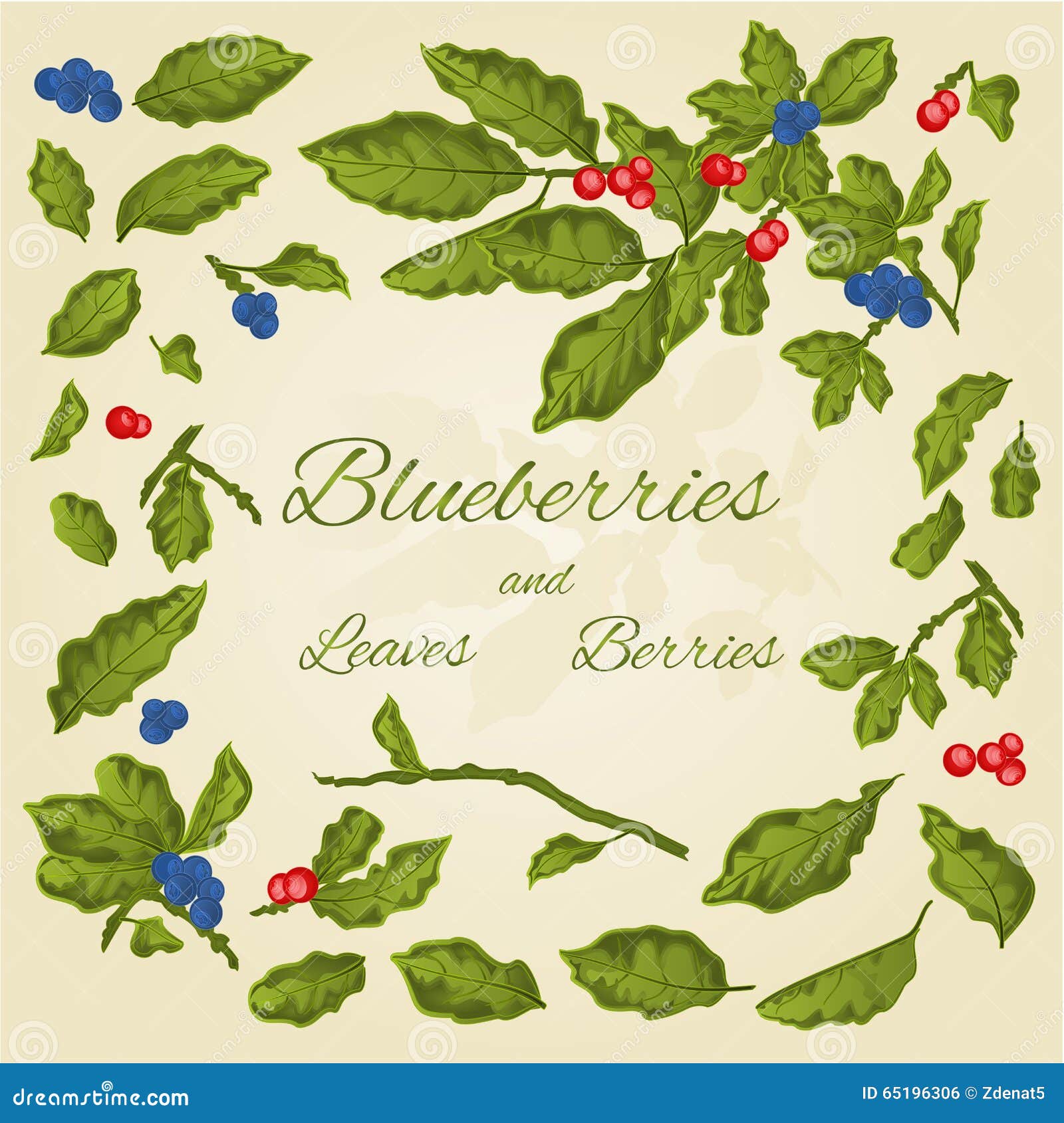 Blueberries Leaves and Berries Vector Stock Vector Illustration of