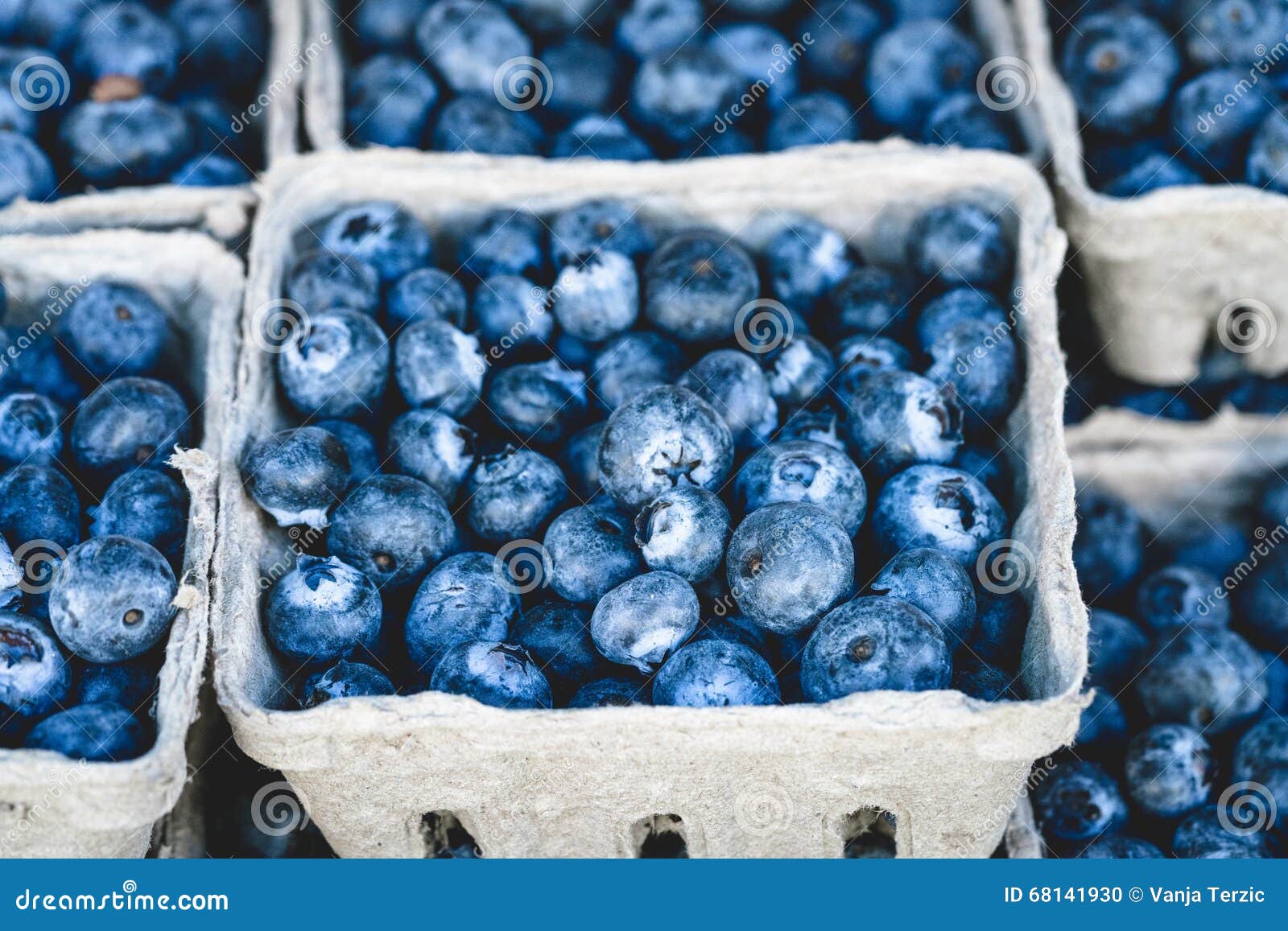 Blueberries market display stock photo. Image of fruit 68141930
