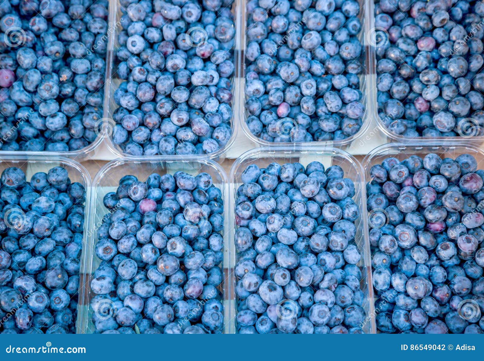 Blueberries stock photo. Image of food, horticultural 86549042