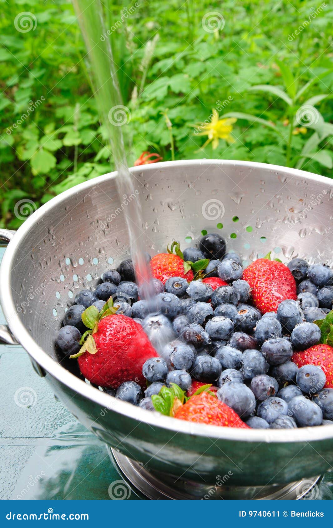 Blueberries and Strawberries Stock Image Image of berries, berry 9740611