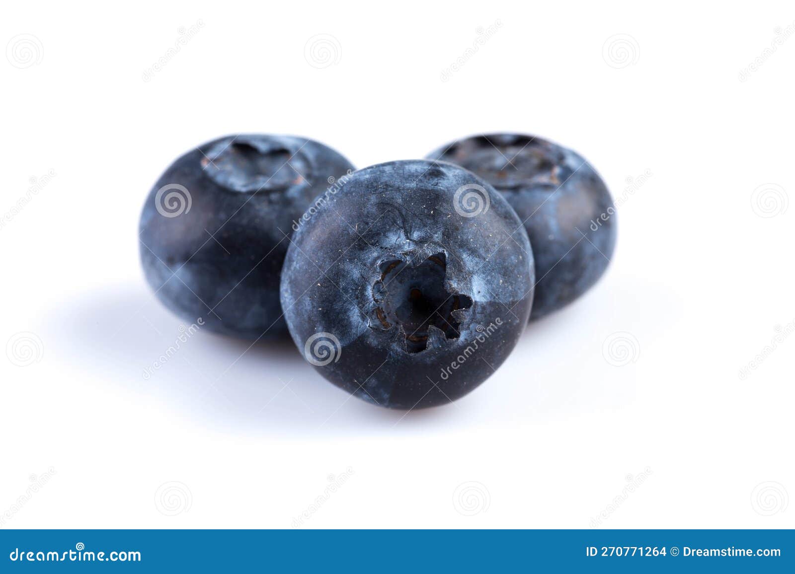 Blueberries on White Background Stock Photo Image of bilberry, white 270771264