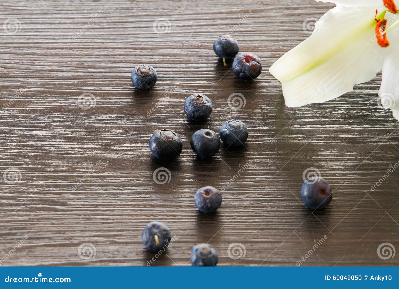 Blueberries with White Lily Stock Photo Image of blue, fruit 60049050
