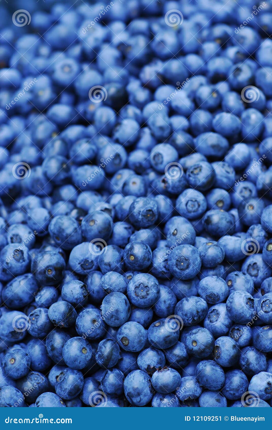 Blueberry Background stock image. Image of fruit, crop 12109251