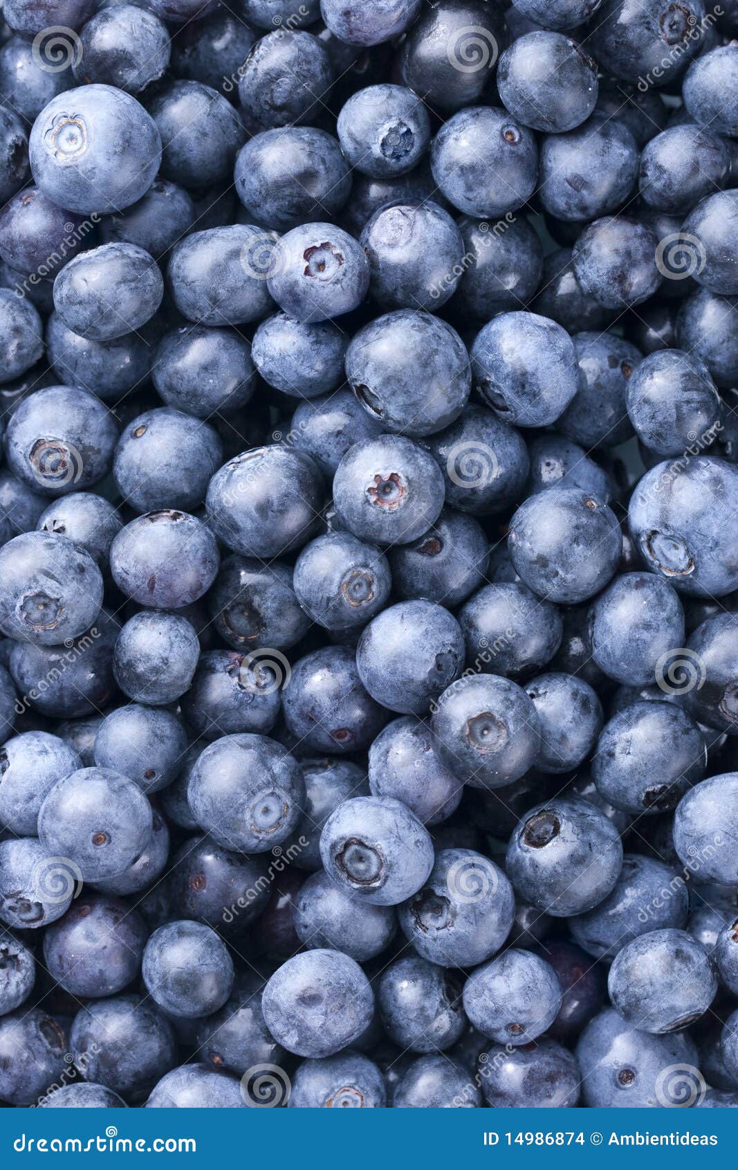 Blueberry Background stock photo. Image of berry, large 14986874