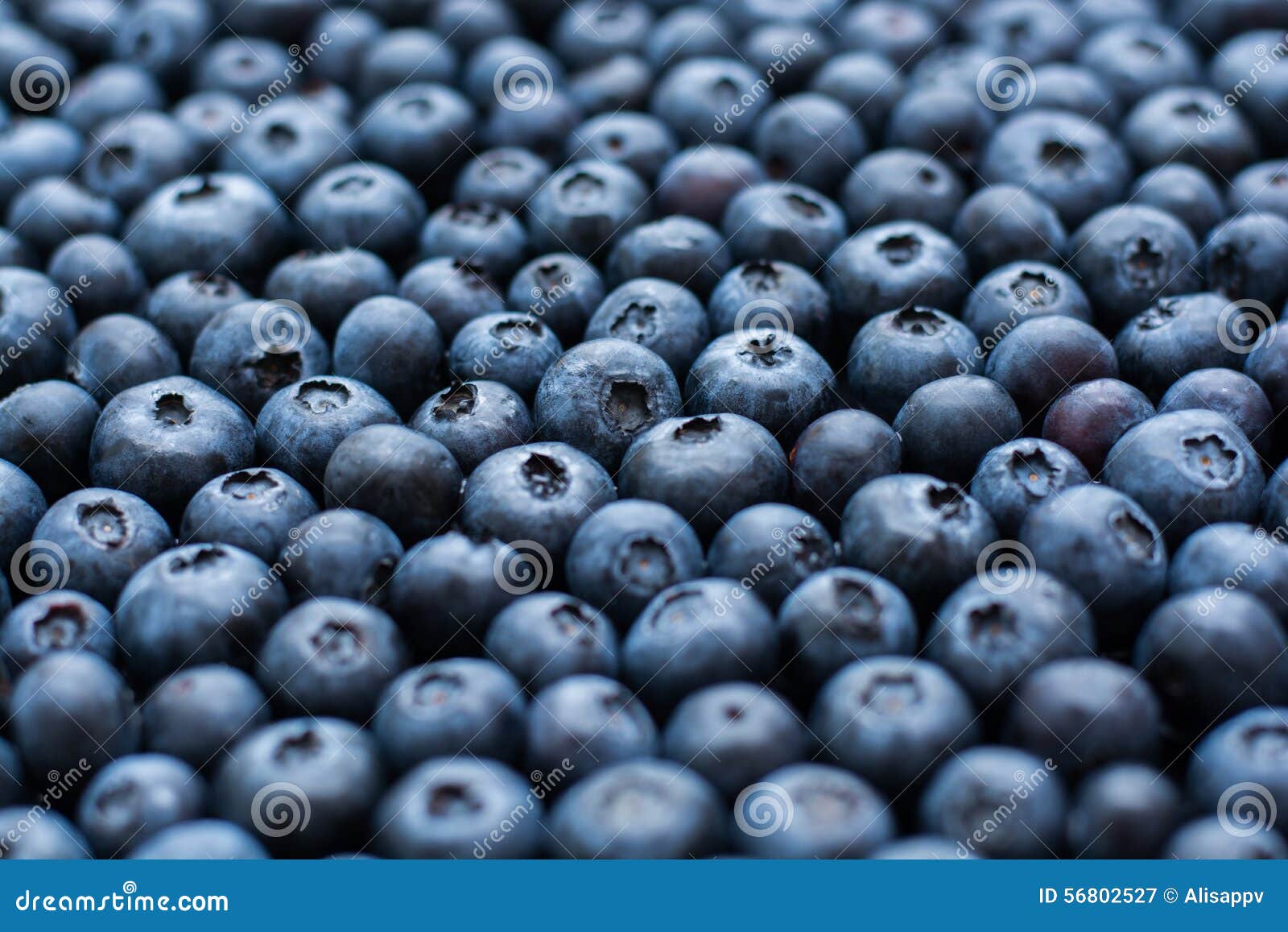 Blueberry background stock image. Image of freshness 56802527