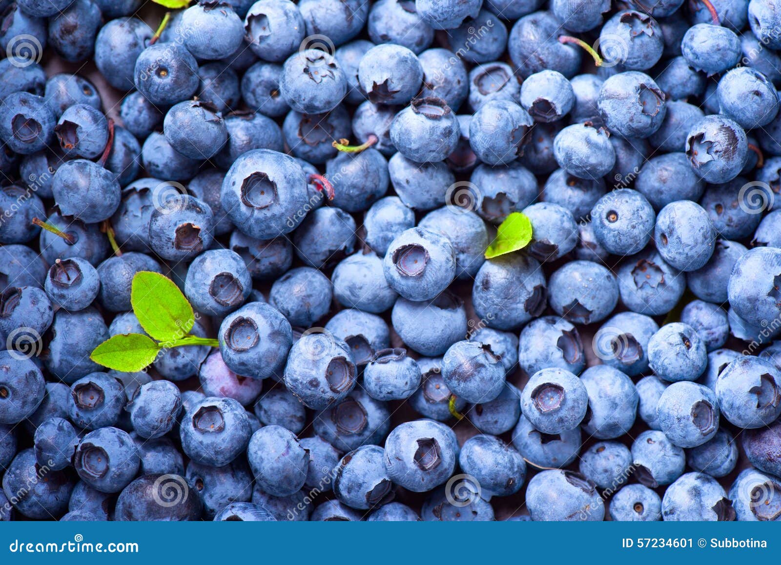 blueberry background. ripe blueberries closeup