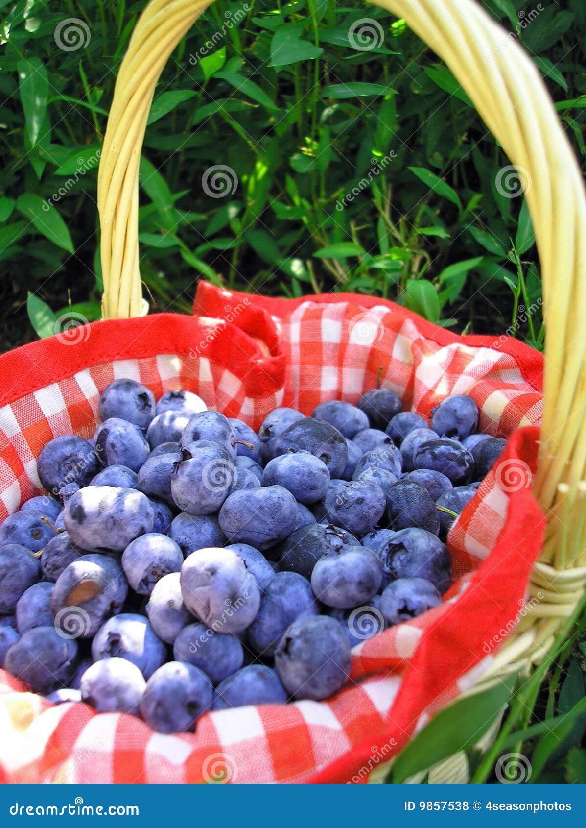 Blueberry in a Basket stock photo. Image of eaten, summer 9857538