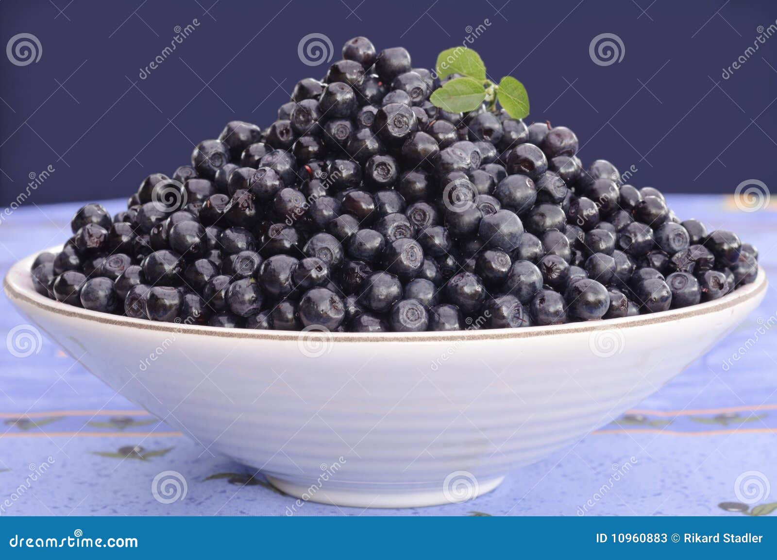 Blueberry bowl stock image. Image of agriculture, blurred 10960883