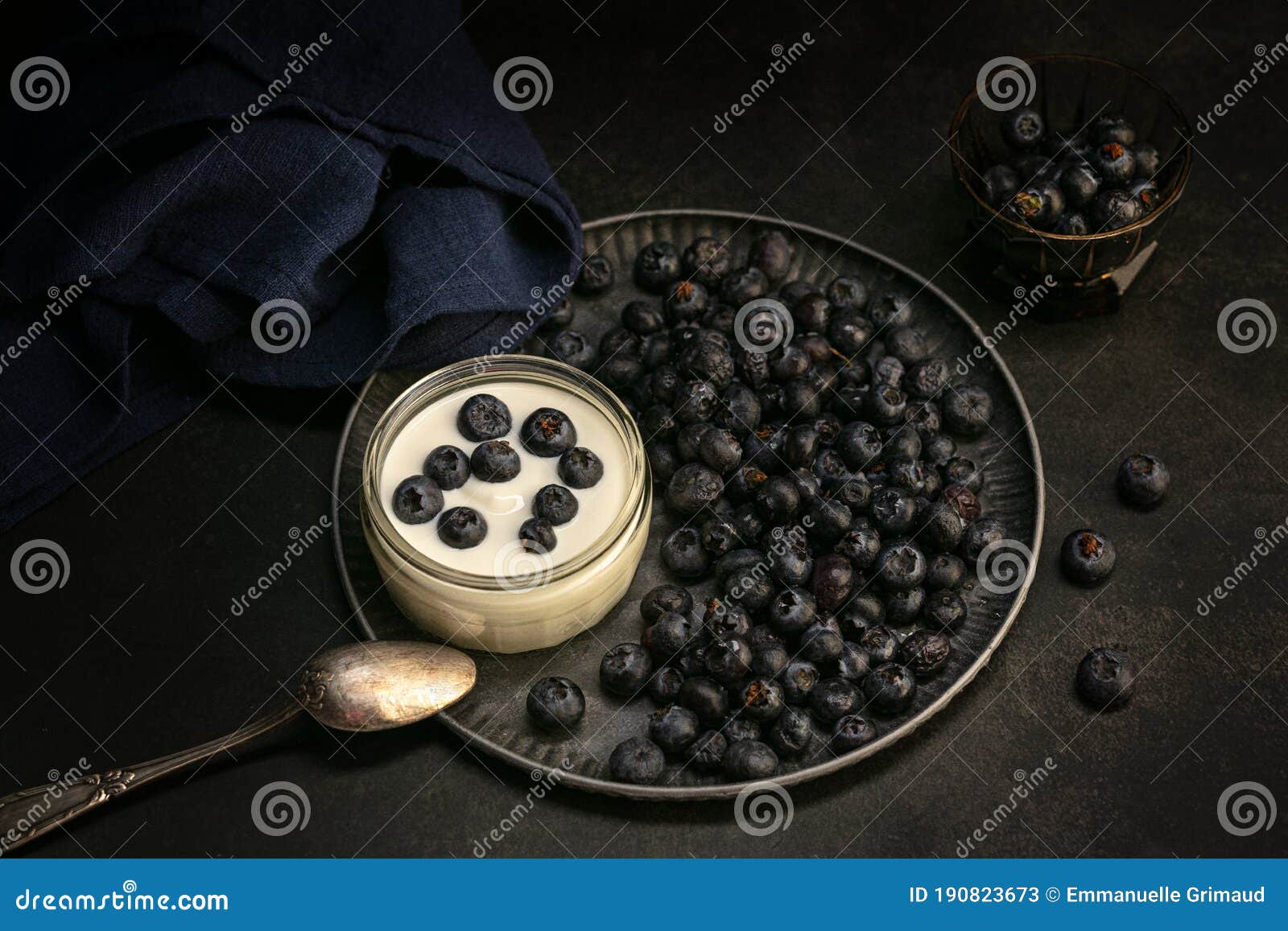 Blueberry Cottage Cheese in a Bowl Stock Image Image of blueberry