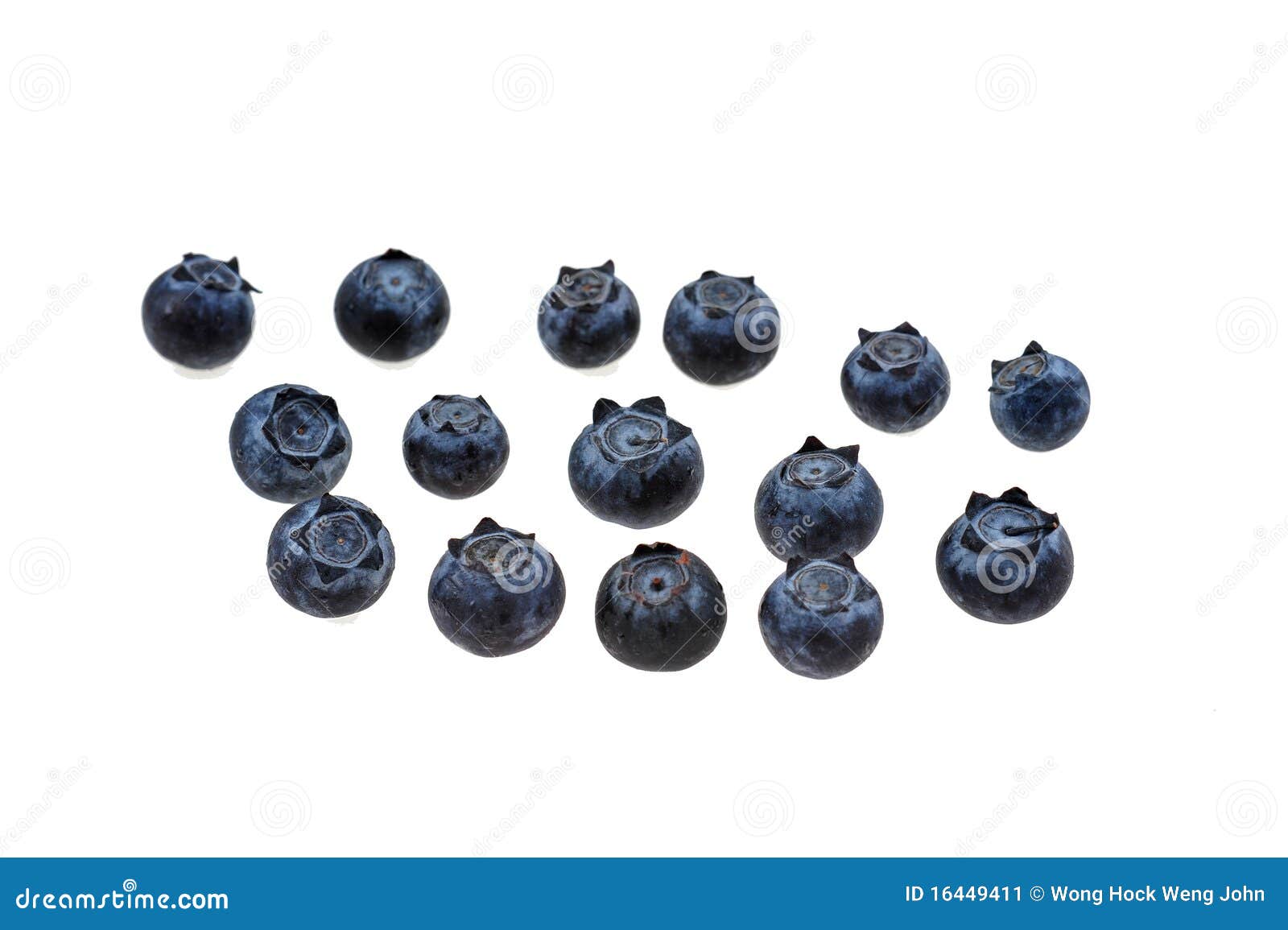 Blueberry fruit stock image. Image of healthy, crop, blueberry 16449411