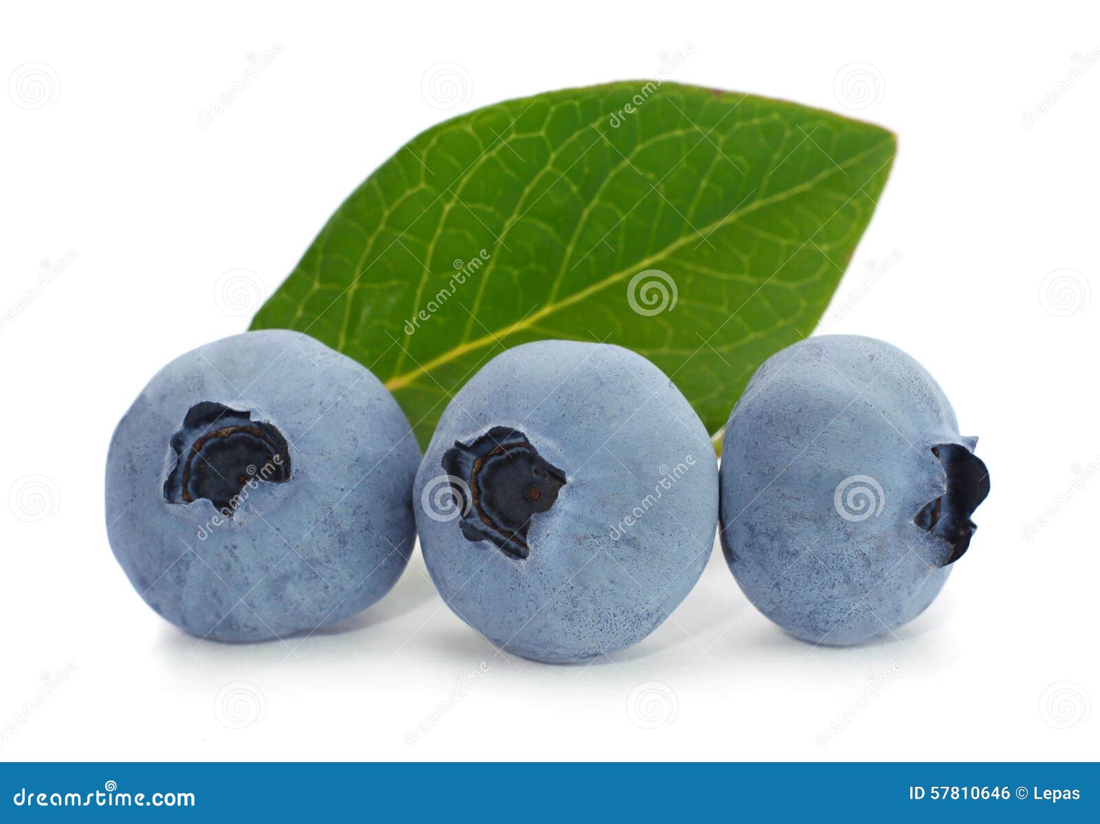 Blueberry fruit stock photo. Image of group, blueberry 57810646
