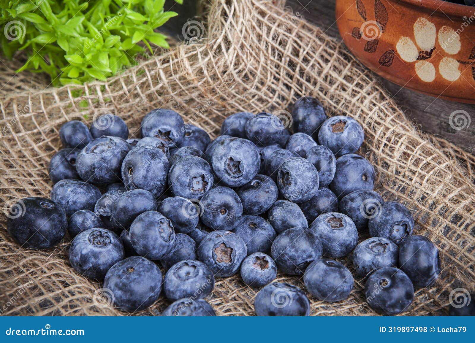 Blueberry Fruit, Fresh and Healthy Food. Stock Photo Image of closeup