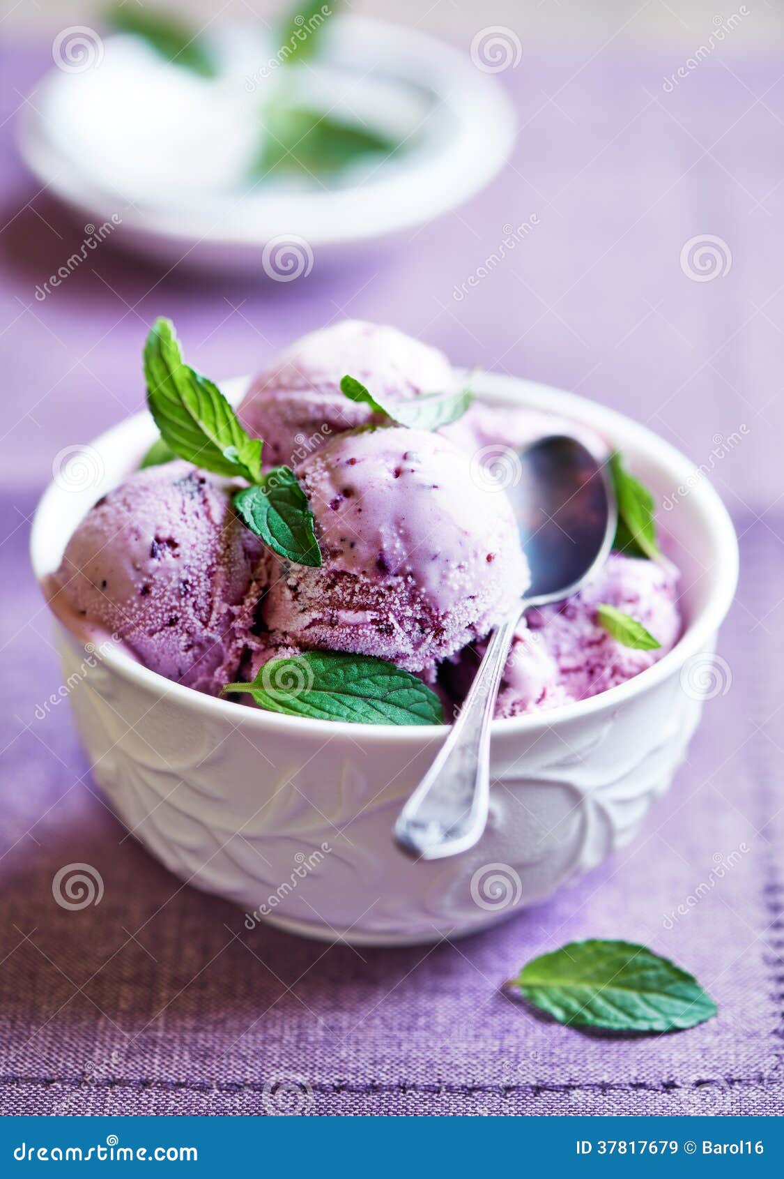 Blueberry Ice Cream with Mint Leaves Stock Image Image of frozen