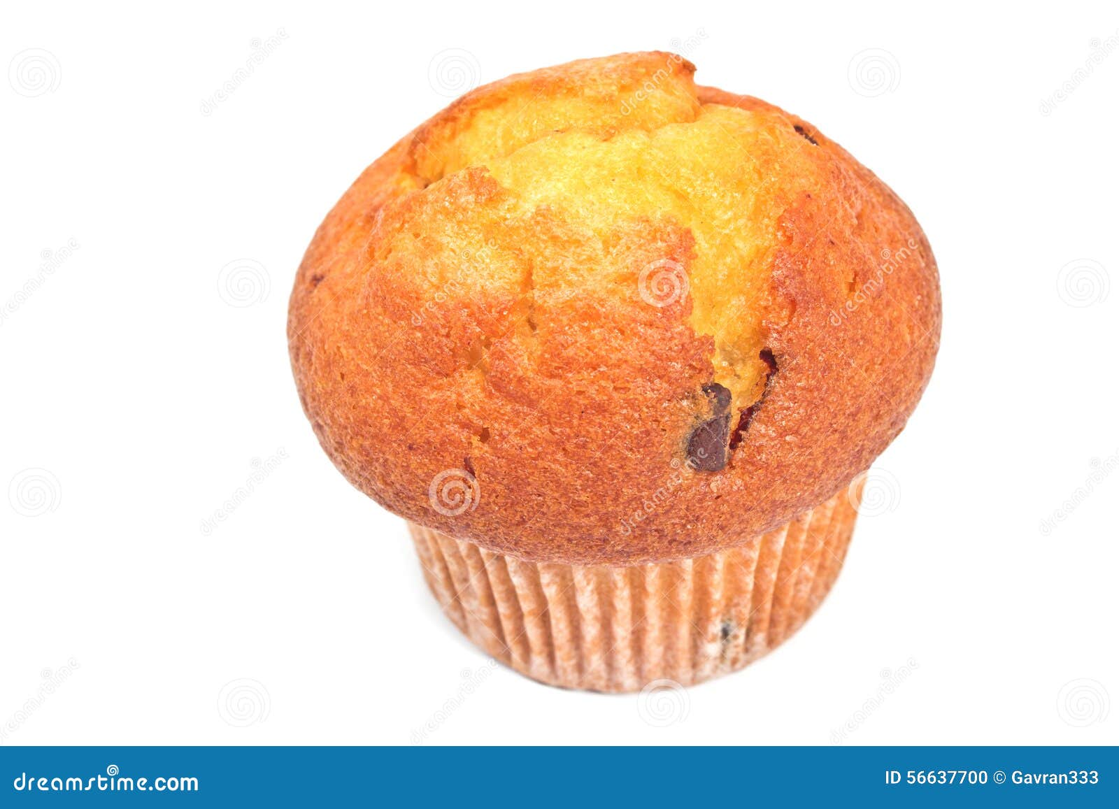 Blueberry muffin stock photo. Image of single, blueberry - 56637700