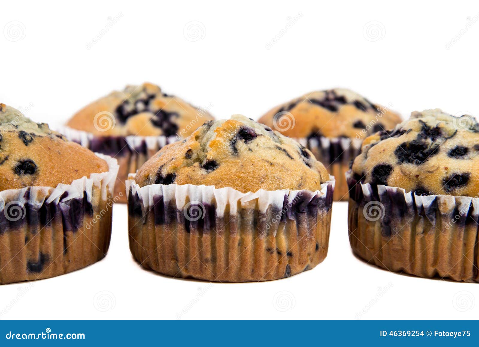 Blueberry muffins stock photo. Image of muffins, fruit - 46369254