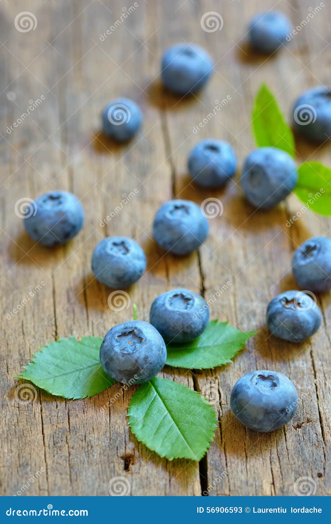 Blueberry on old wood stock image. Image of blueberry 56906593