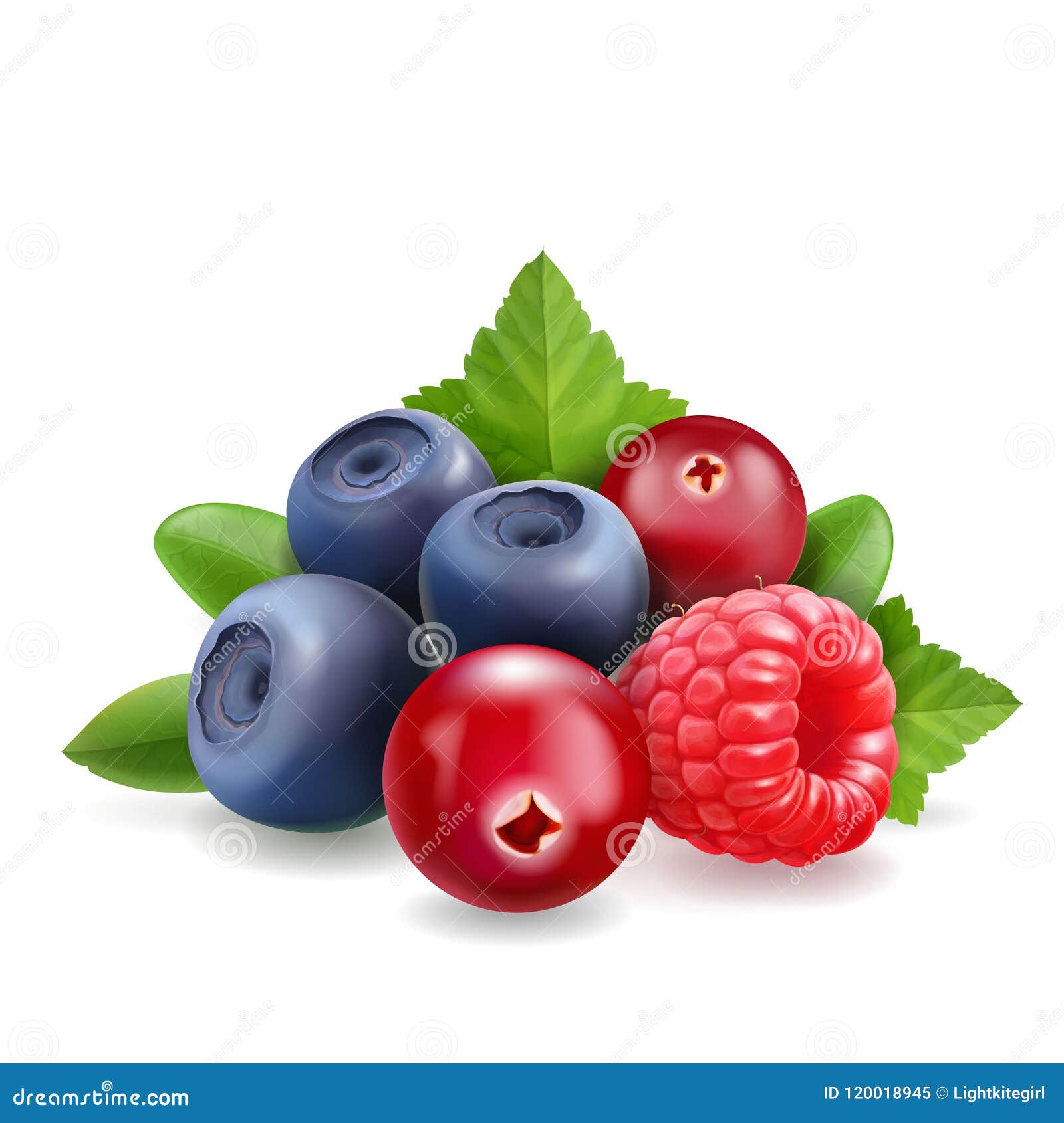 Blueberry, Raspberry and Cranberry Sweet Forest Berry. 3d Vector Realistic Illustration Stock