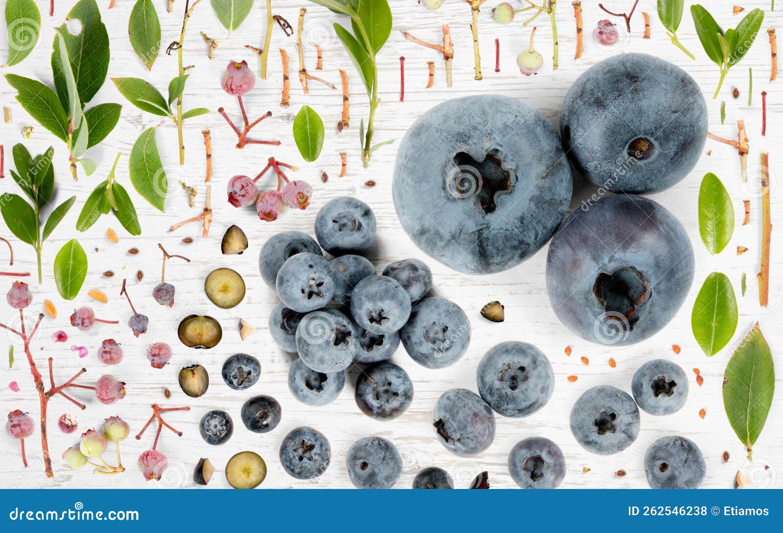 Blueberry Slice and Leaf Collection Stock Photo Image of ingredient