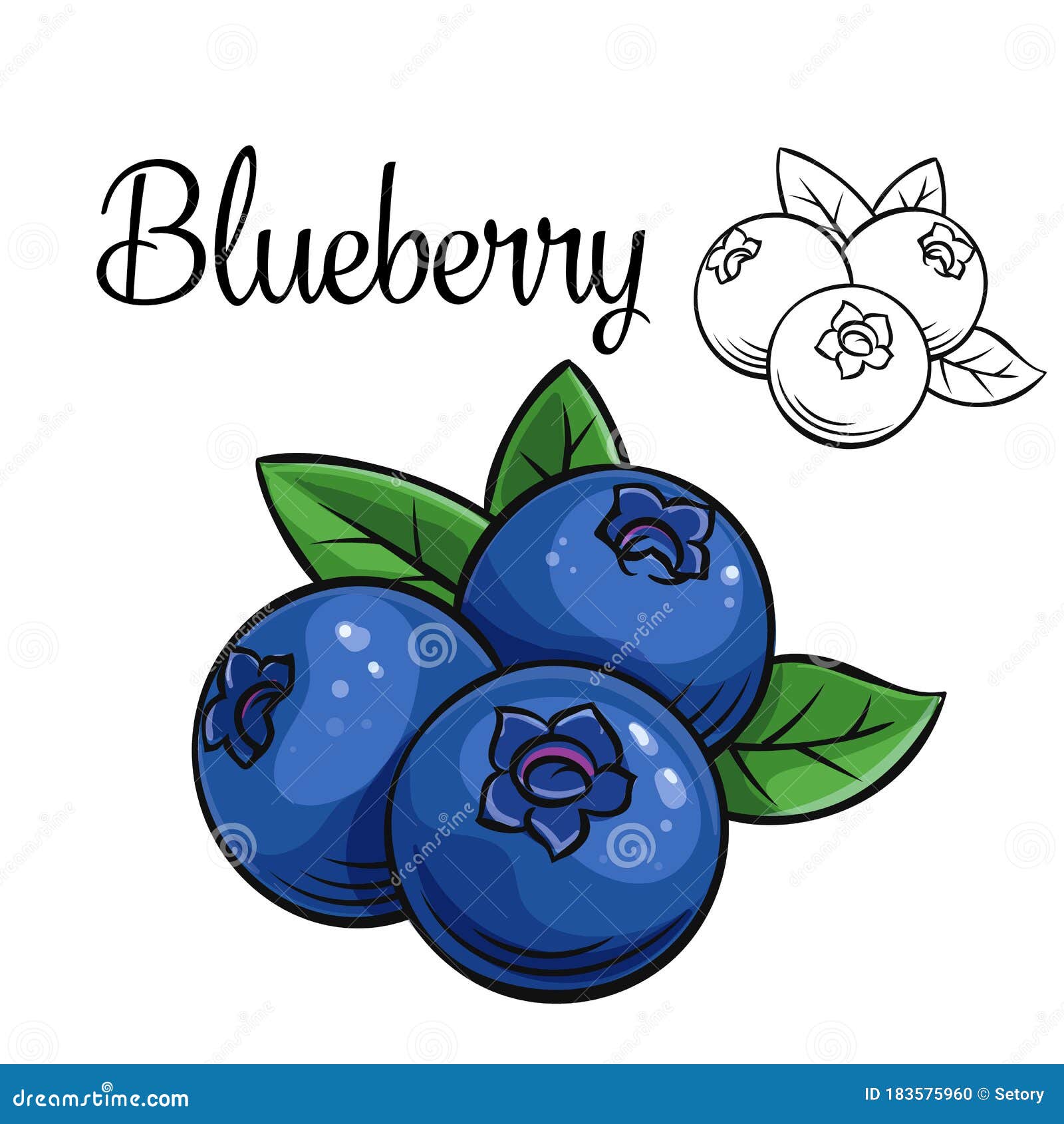Blueberry Drawing Stock Illustrations 7 023 Blueberry Drawing Stock Illustrations Vectors Clipart Dreamstime See more ideas about blue fruits, light blue aesthetic, aqua turquoise. dreamstime com