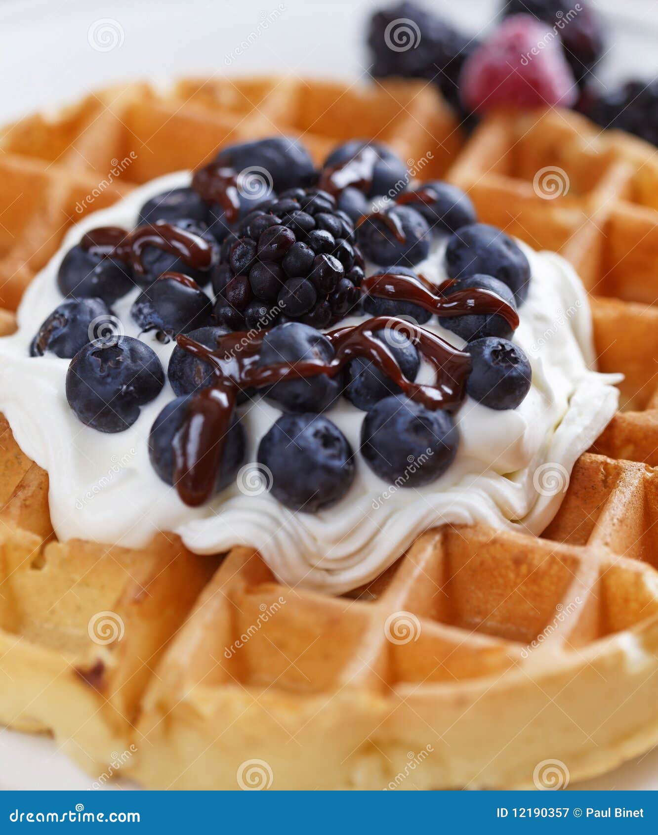 Blueberry waffle stock image. Image of blackberry, fresh 12190357