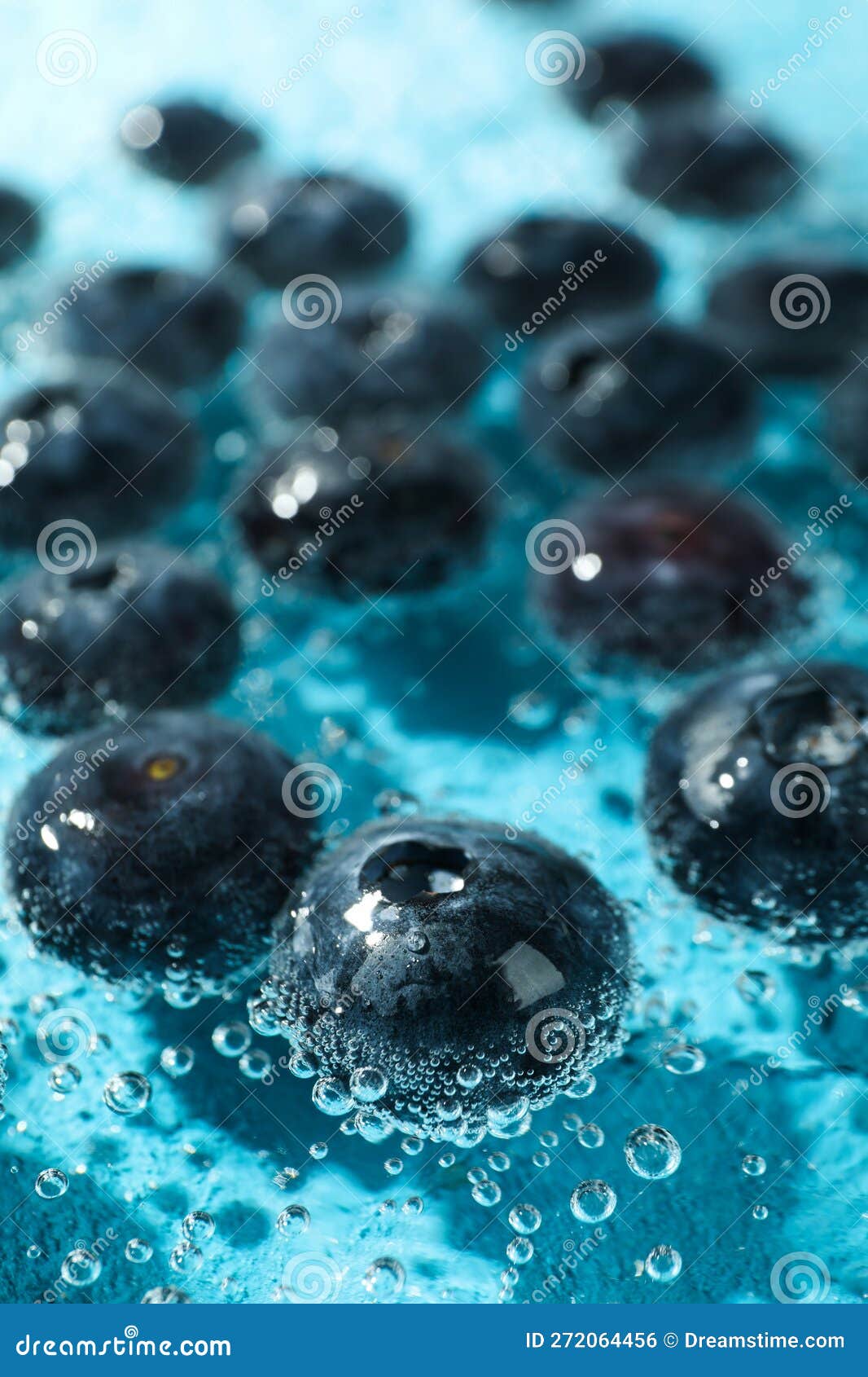 Blueberry in Water, Close Up, Concept of Freshness Stock Photo Image