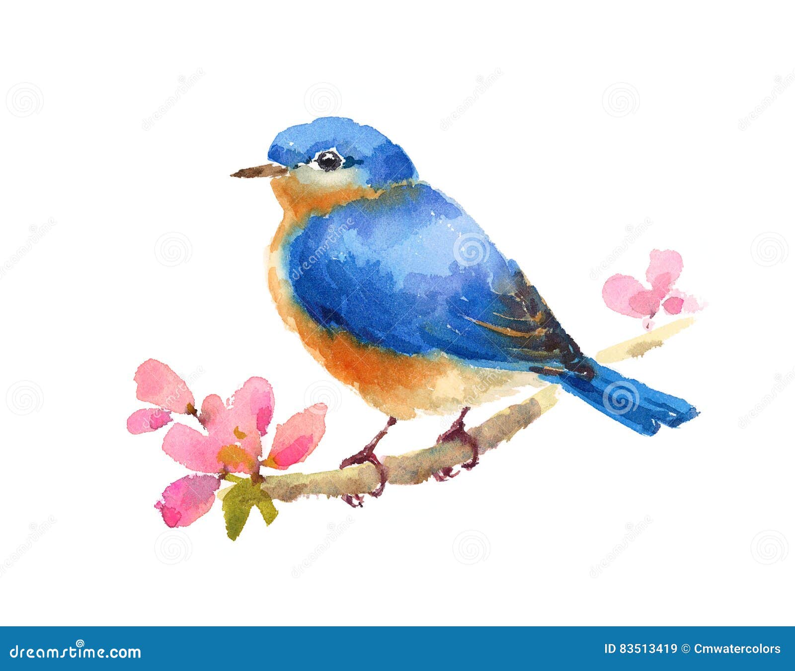 where to download bluebird app where to download bluebird app