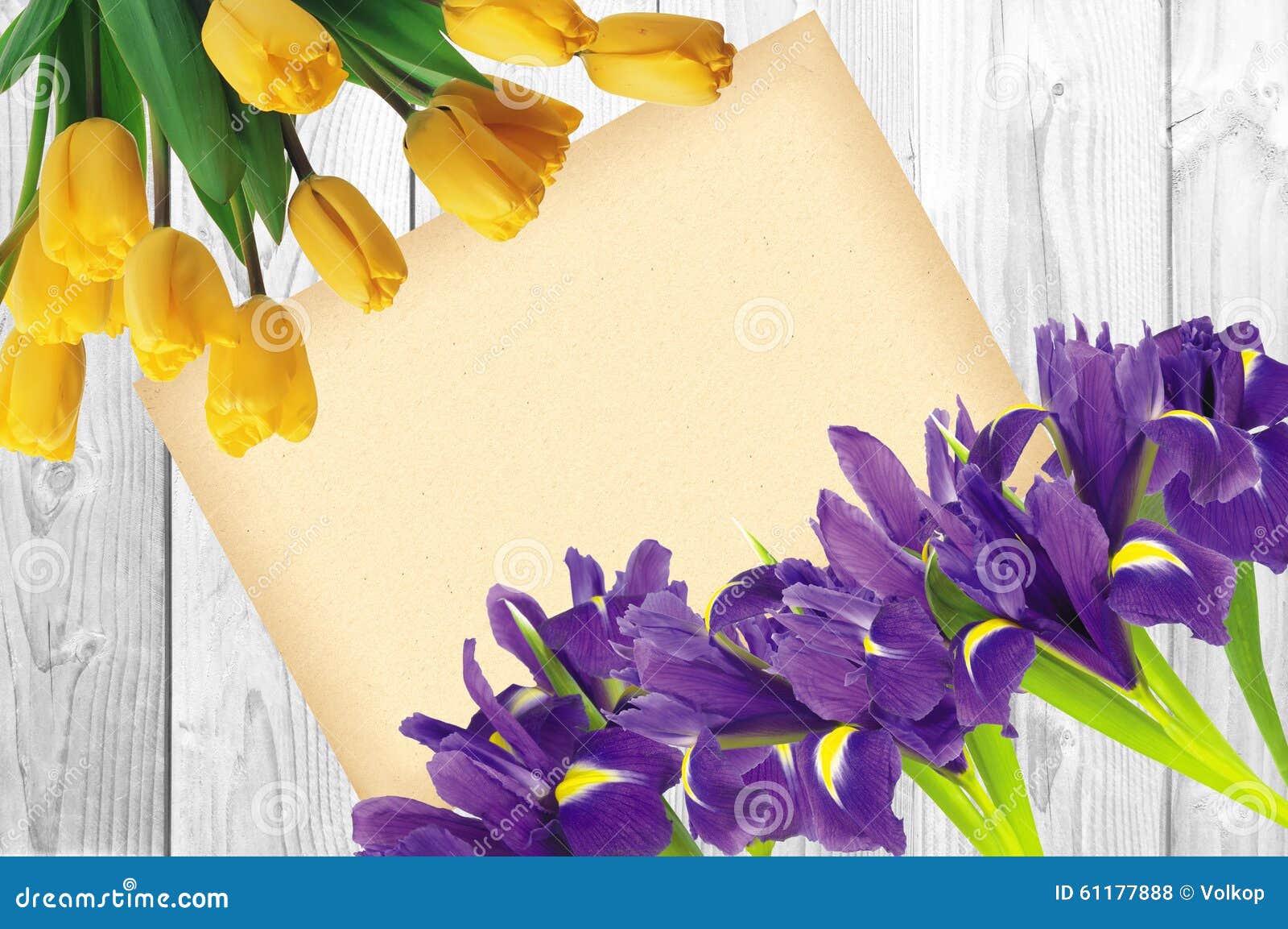 blueflag or iris flower and yellow tulips with greeting card