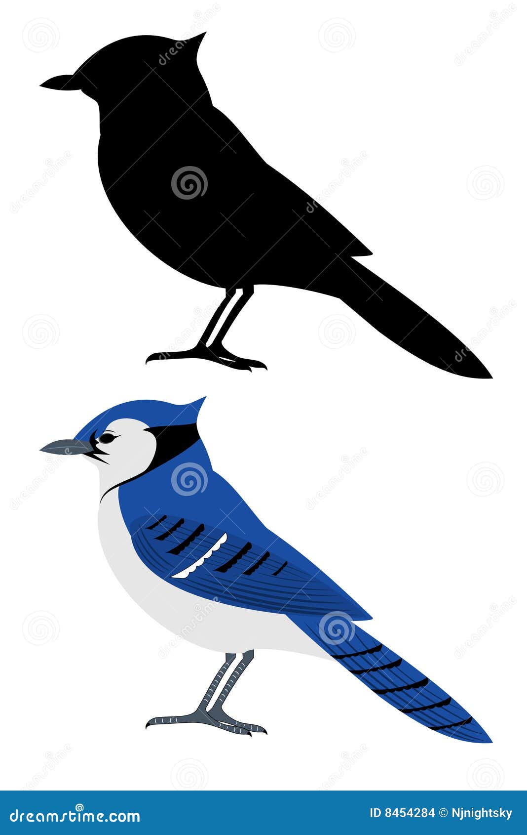 Bluejay Feather Stock Illustrations – 93 Bluejay Feather Stock  Illustrations, Vectors & Clipart - Dreamstime