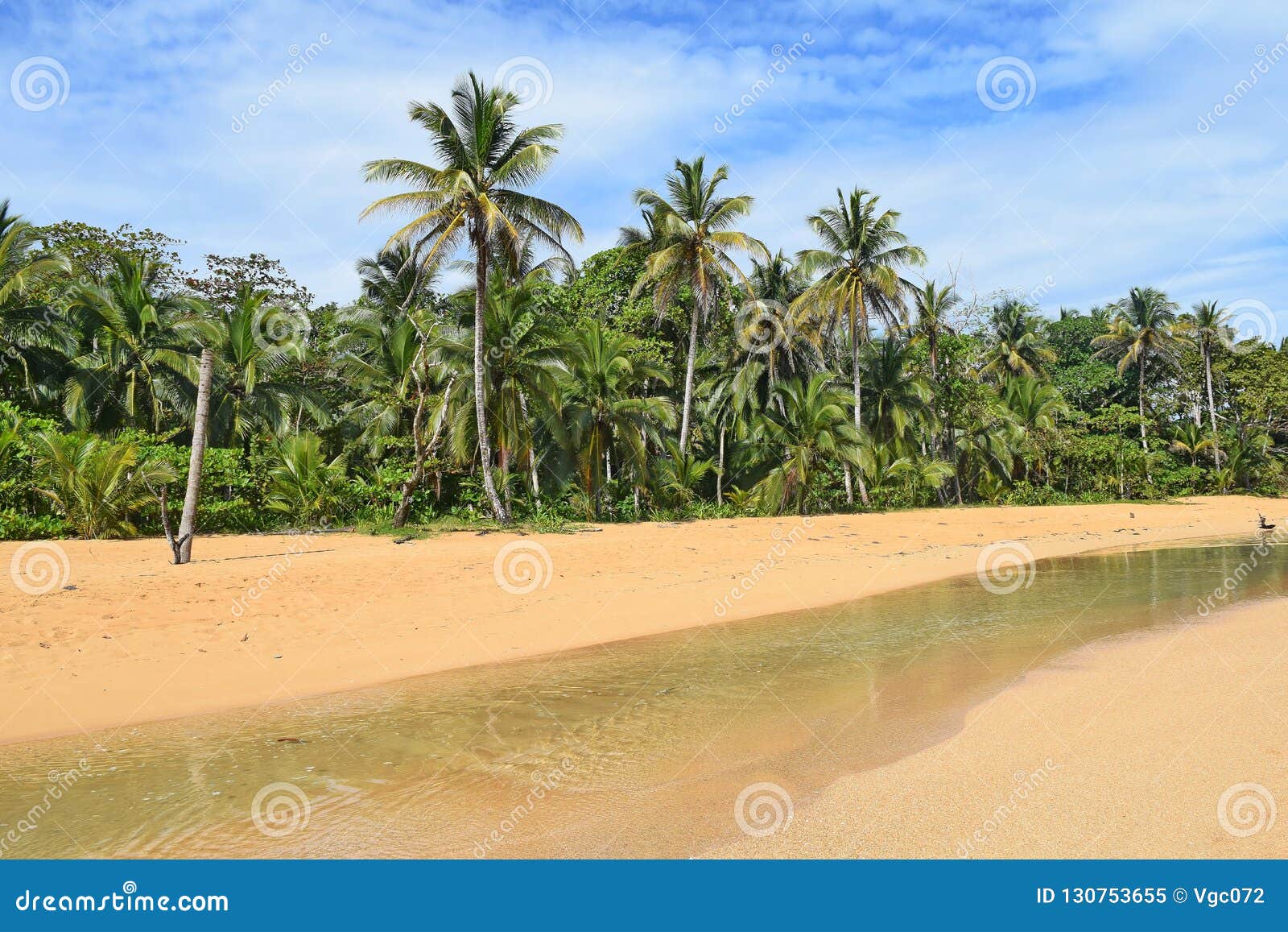 The Bluff Beach, Bocas Del Toro Province, Panama Stock Image Image of