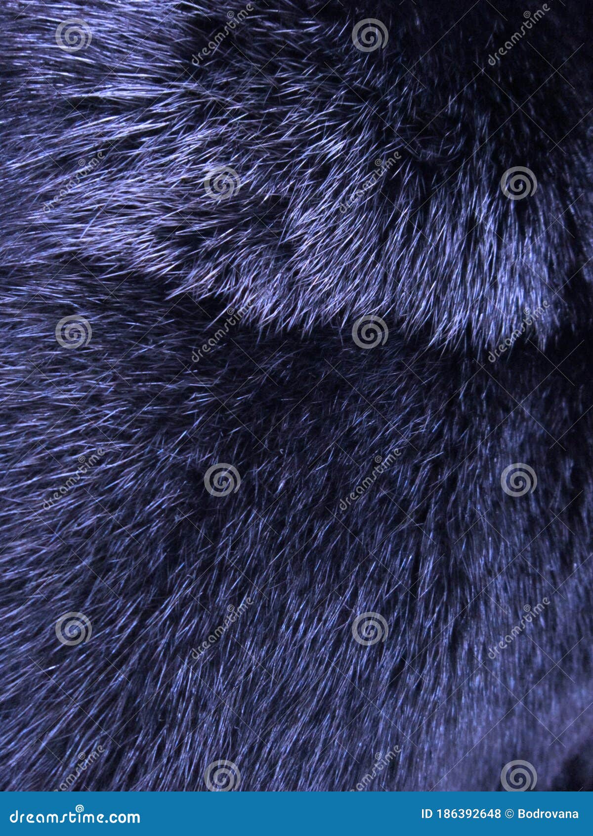 Beautiful Mink Fur in Black. Stock Photo Image of colors, threads