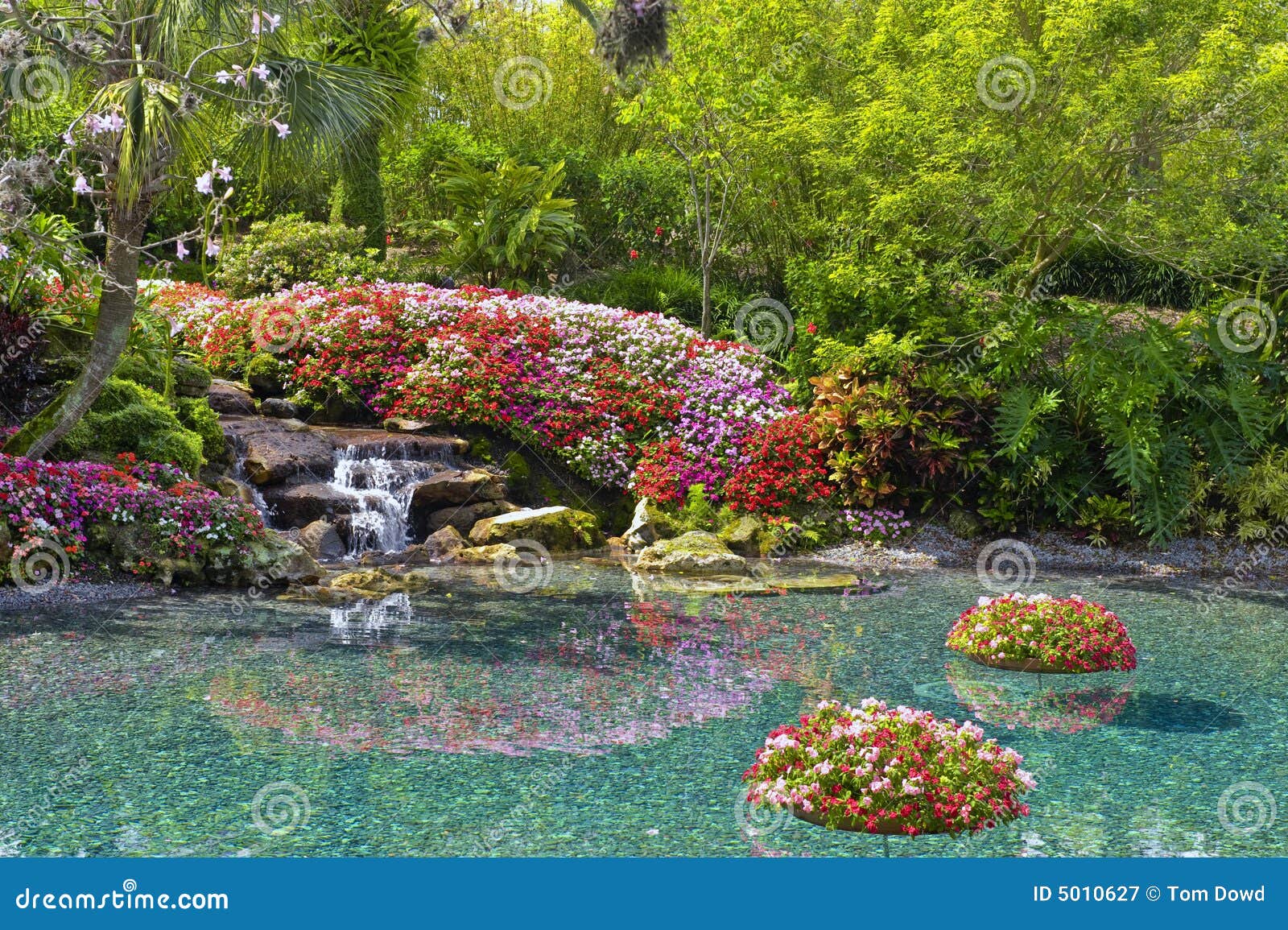 Blumen um Teich stockbild. Bild von angenehm, garten, schönheit 5010627