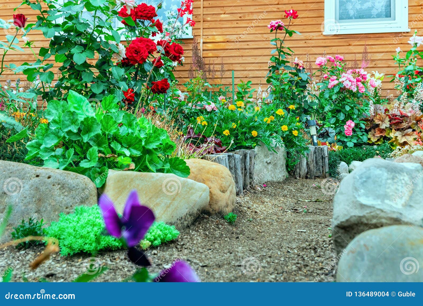 Blumen Und Steine Vor Dem Haus Vorgarten Plan Des Plans Stockfoto Bild Von Steine Haus 136489004