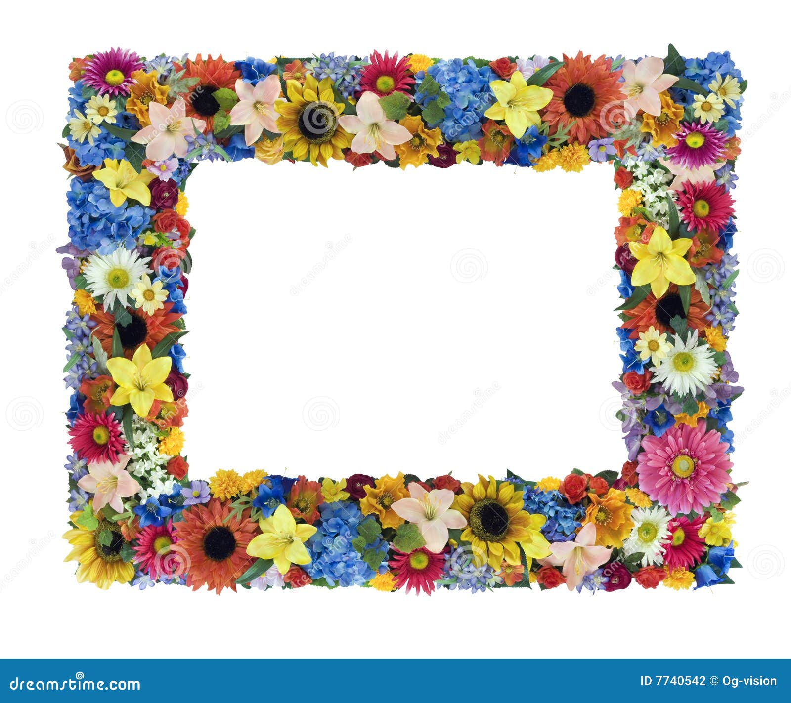 Blumenfeld stockfoto. Bild von hortensie, leer, rand, lilie 7740542
