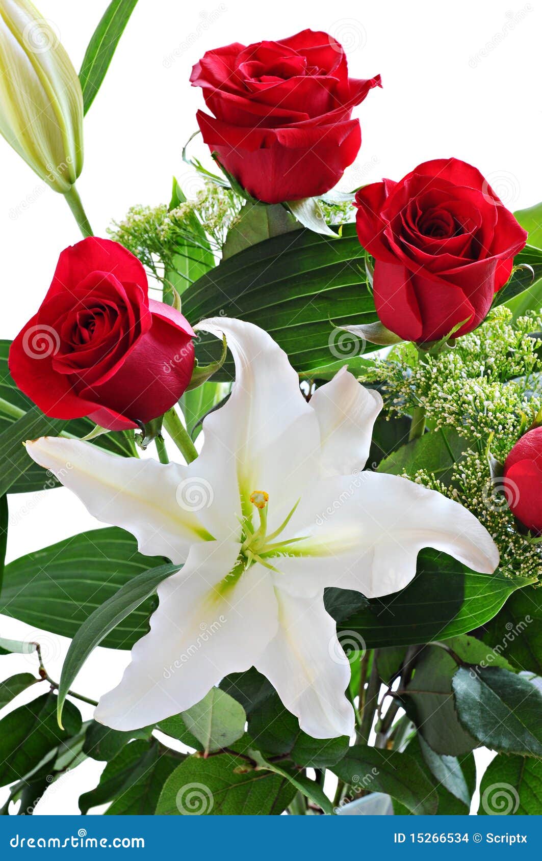 Blumenstrauß der roten Rosen und der weißen Lilie. Blumenstrauß der schönen roten Rosen und der weißen Lilie, auf weißem Hintergrund