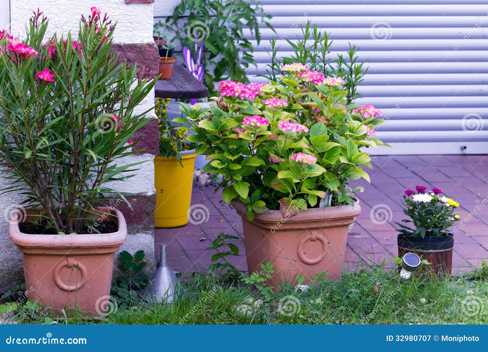 Blumentöpfe im Garten stockbild. Bild von gefärbt, landschaft 32980707