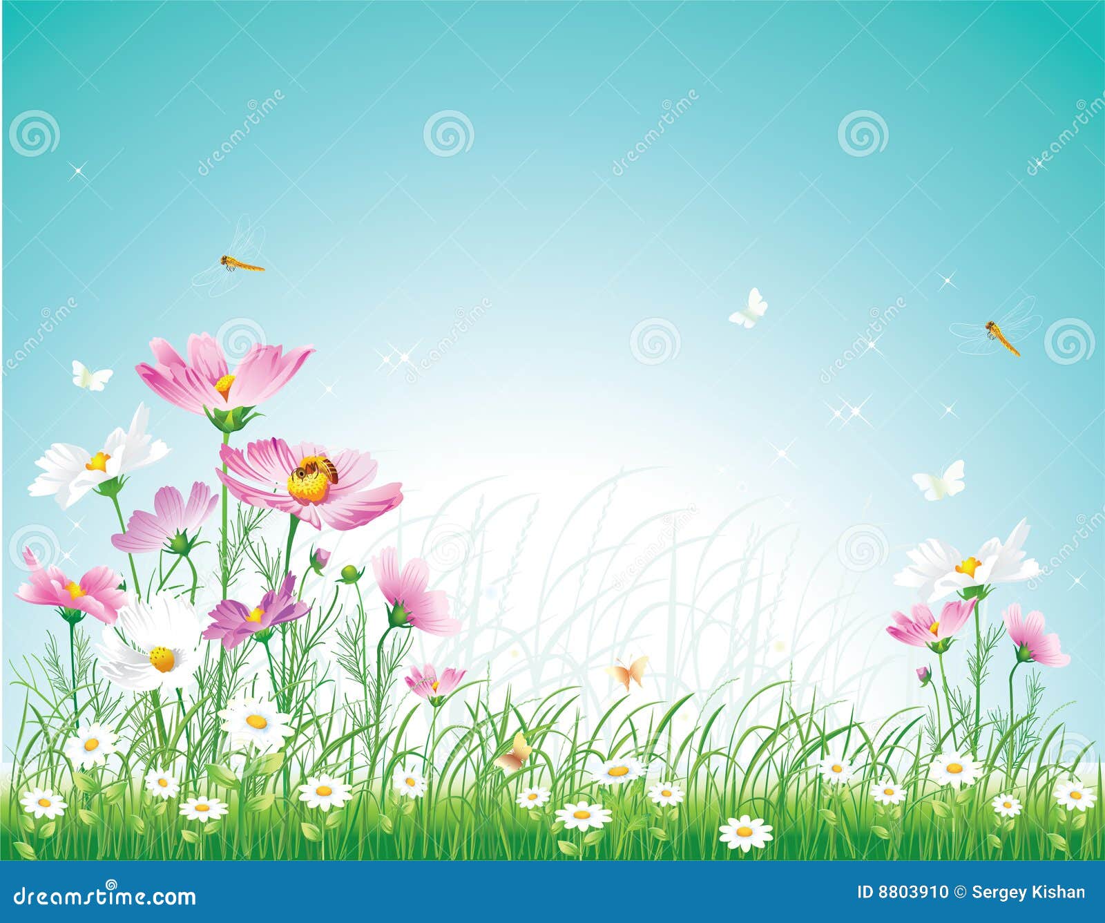 Blumenwiese Vektor Abbildung Illustration Von Blumenwiese