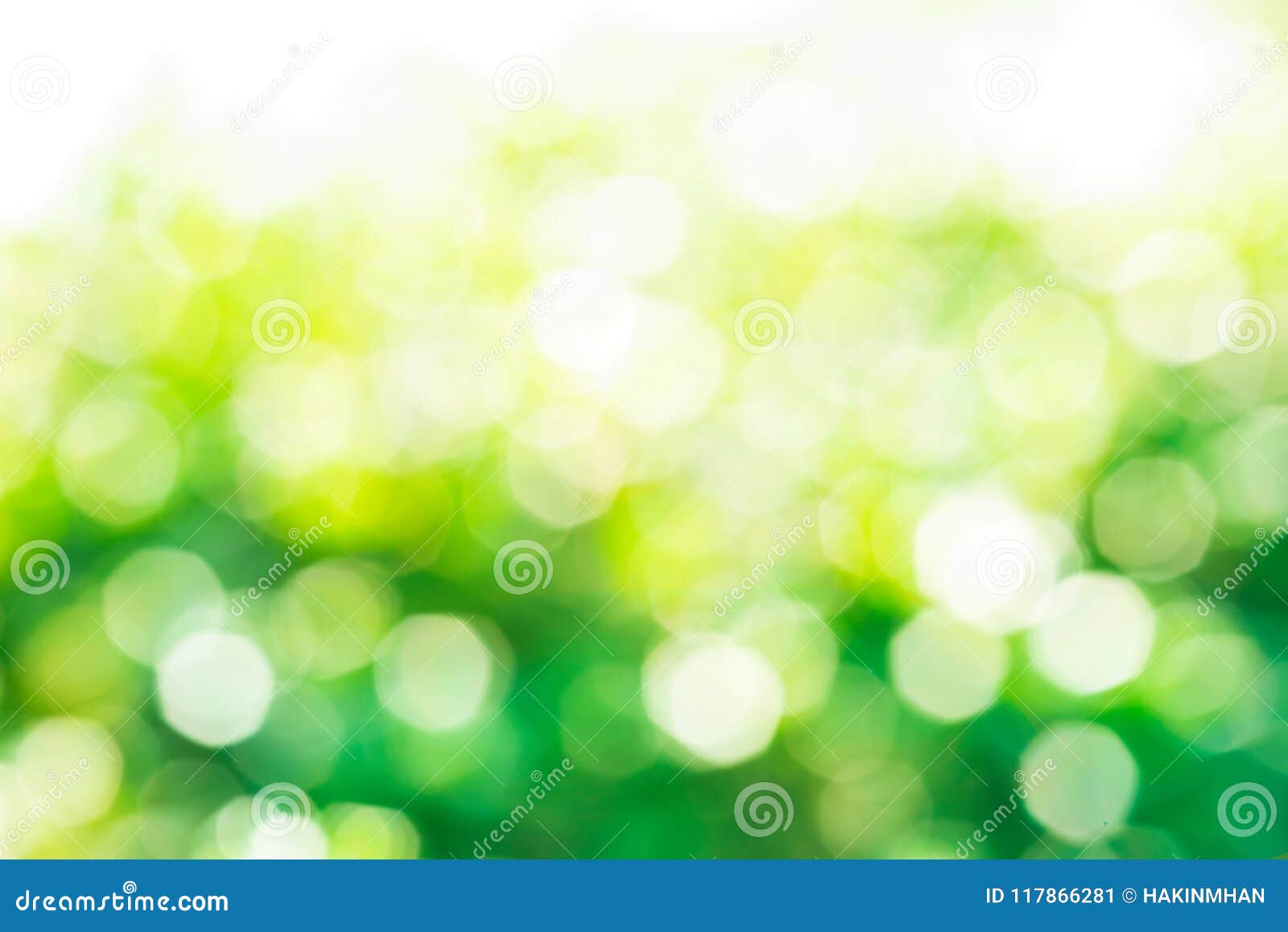 Bokeh xanh lá làm nổi bật chủ thể của bạn. Nó tạo ra một khung cảnh mơ màng nhưng cũng rất tươi tắn, giúp cho người xem tập trung hoàn toàn vào những điểm nhấn của bức ảnh. Sự pha trộn giữa ánh sáng và màu xanh tạo ra một hiệu ứng đẹp mắt và rất thú vị.