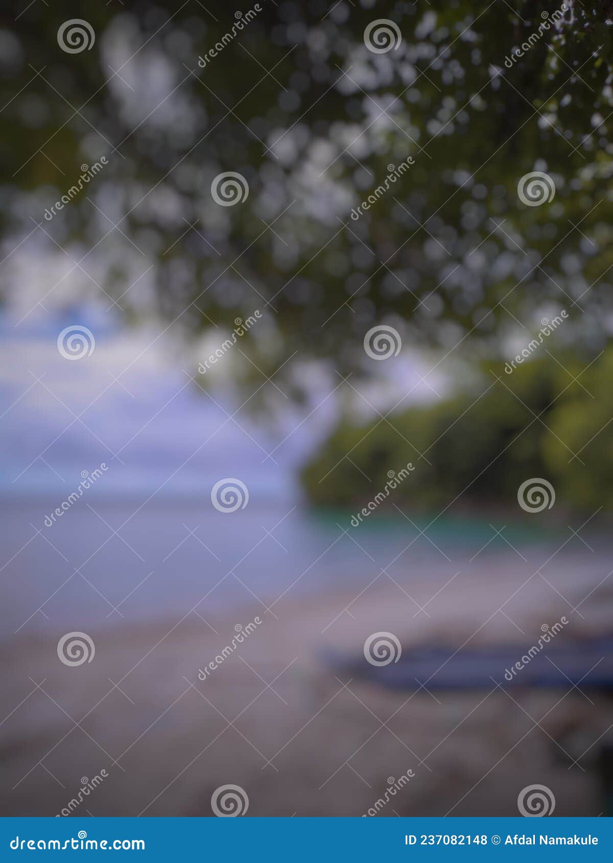 blur background photo