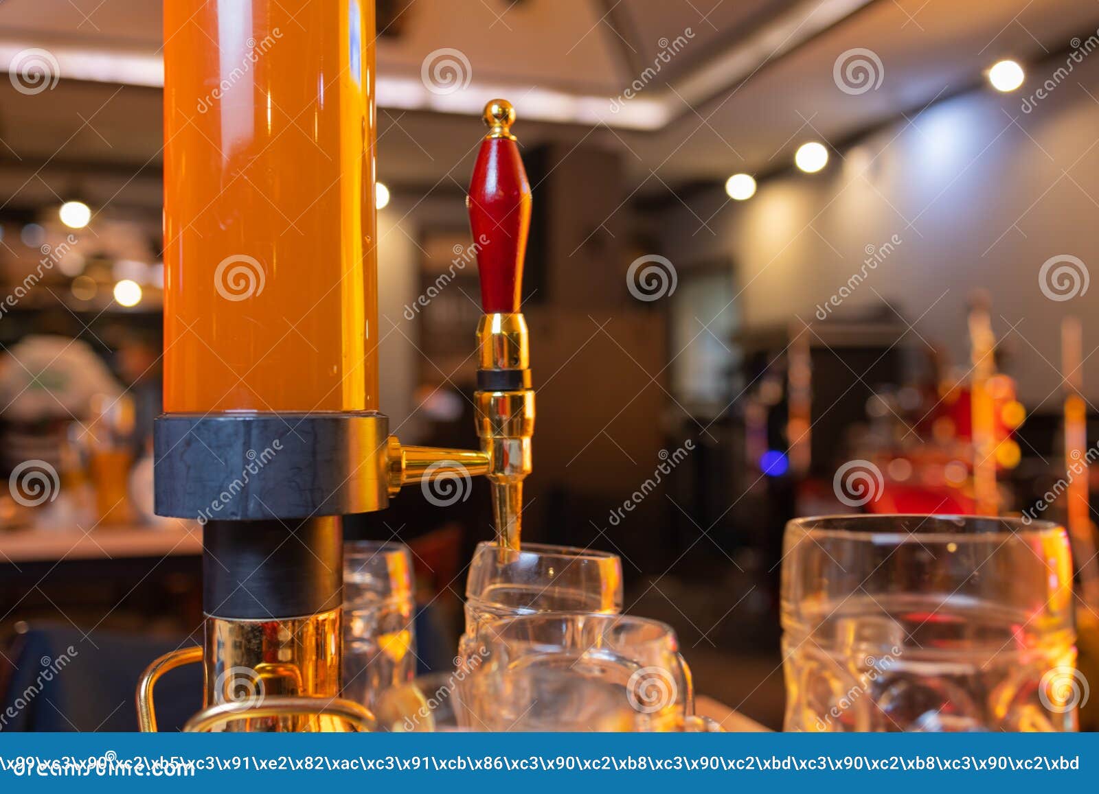 Beer Giraffe Stock Photos - Free & Royalty-Free Stock Photos from Dreamstime