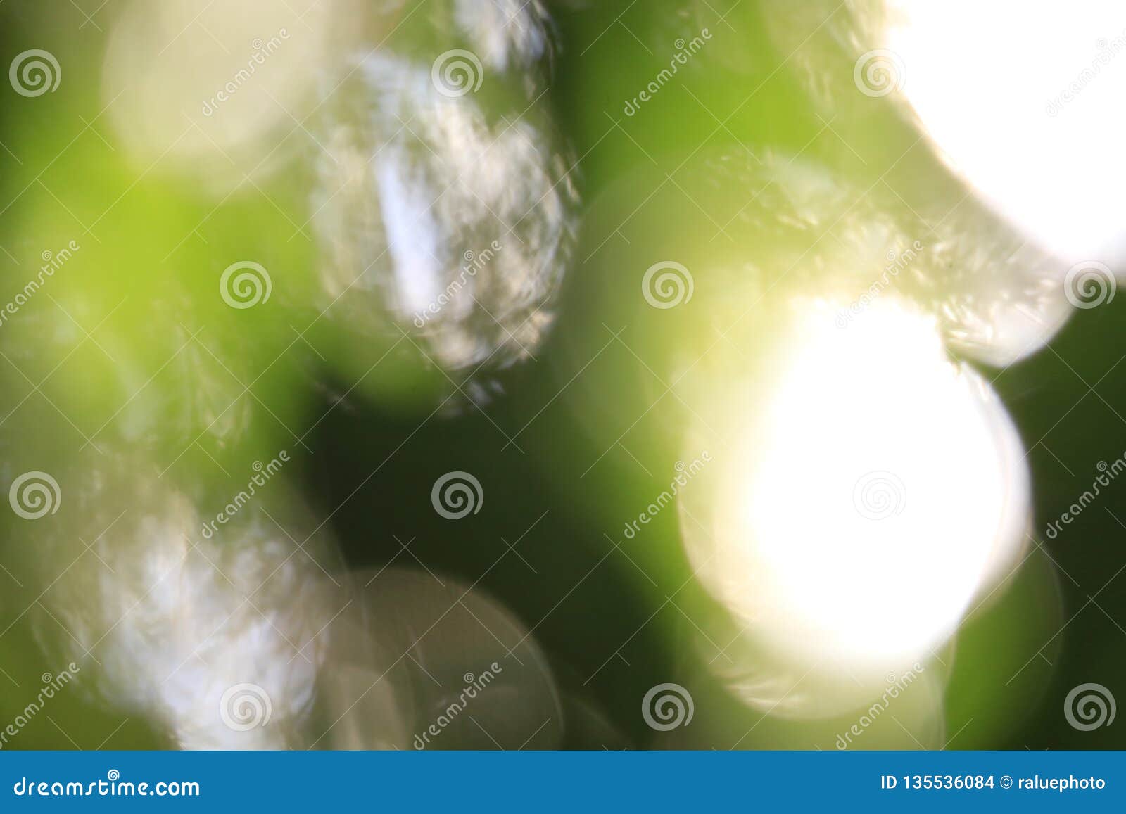 The Blur of the Camera Blur Does Not Focus Stock Photo Image of dark
