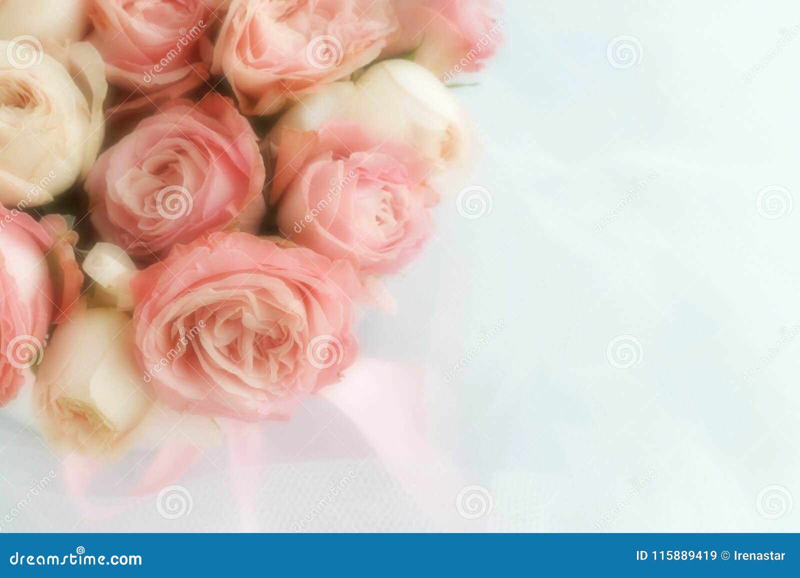 blur effect, soft focus flowers background with bouquet of pale pink roses