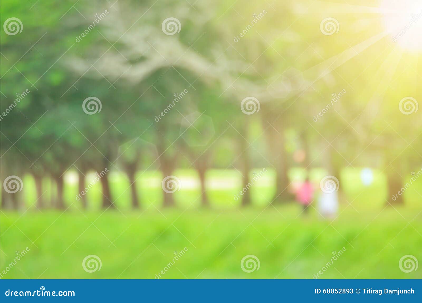 Blur Green Nature Park Abstract Background. Stock Image ...