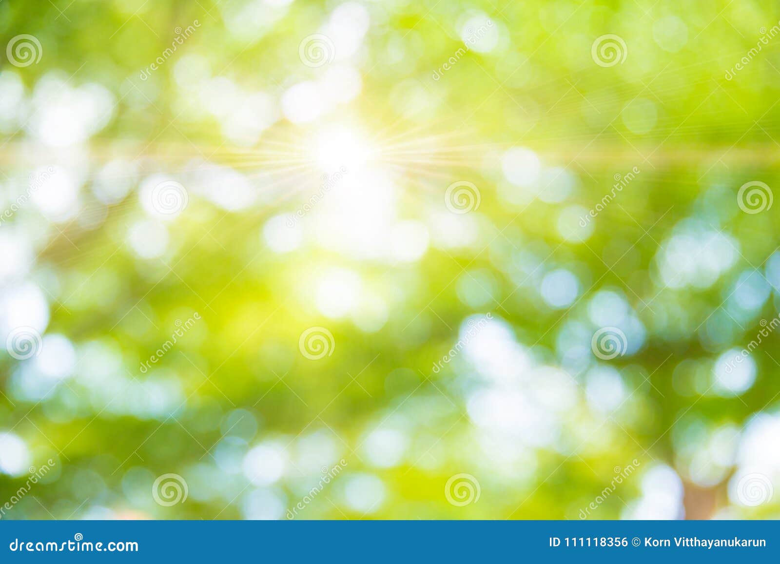 Nếu bạn muốn một hình nền mát mẻ, xanh mơn mởn và dễ chịu thì blur green tree background in park garden stock photo -image of ... là lựa chọn tuyệt vời dành cho bạn. Với hình ảnh cây xanh rợp bóng, cỏ mướt và những đường nét mờ duyên dáng, bức ảnh này sẽ mang lại cho bạn cảm giác thư giãn và thoải mái.