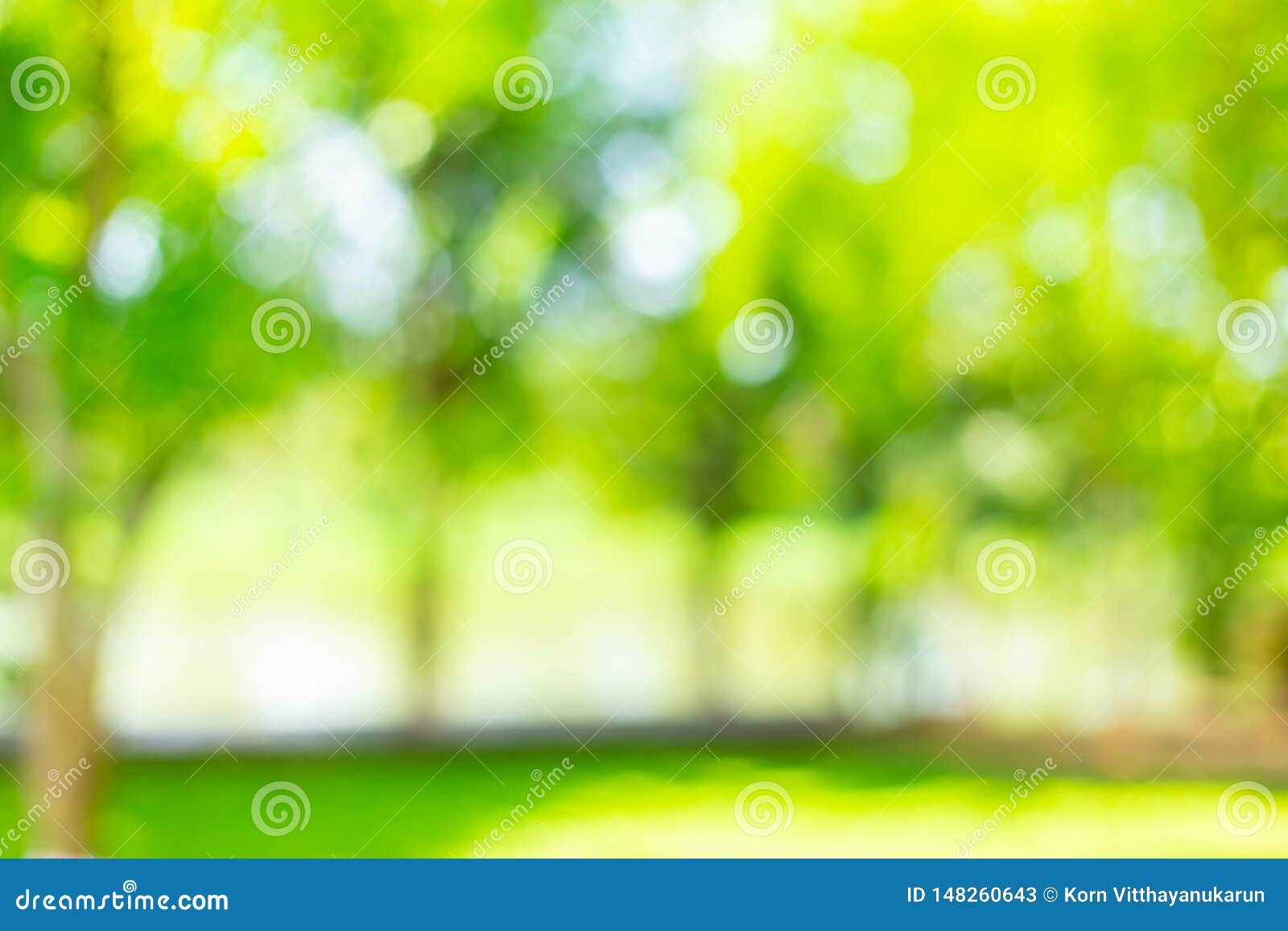 Blur Green Tree Outdoor Park Garden Abstract Stock Image - Image of green,  botany: 148260643
