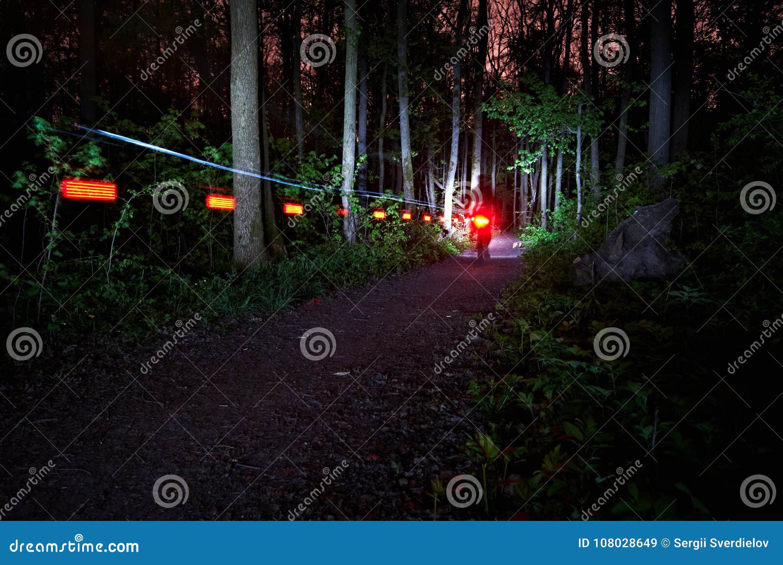 Blurred Rear Light Trail of a Riding Bike at Night in the Forest Stock