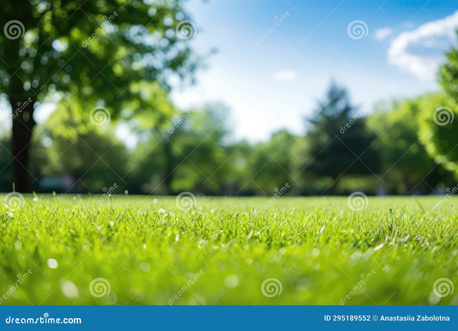 blurred background image showcasing the spring beauty of wellmaintained lawn surrounded by trees aga