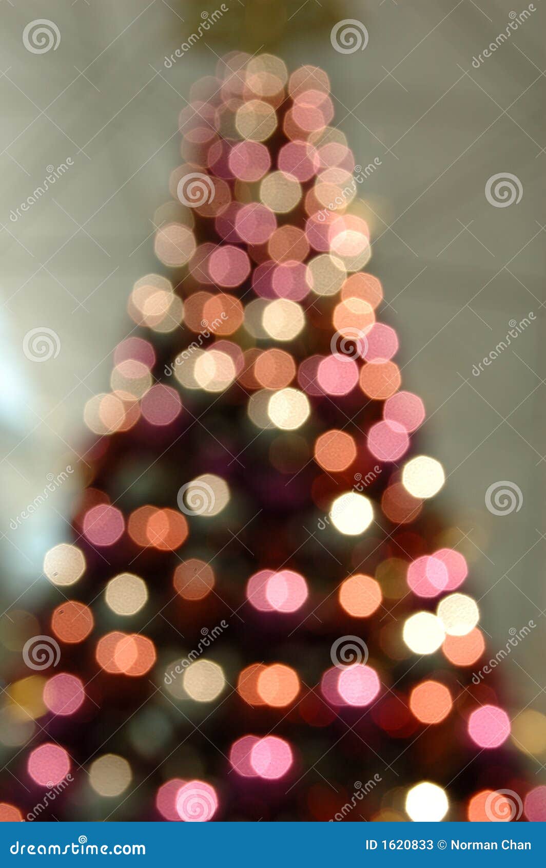 blurred christmas tree lights blurred christmas tree lights