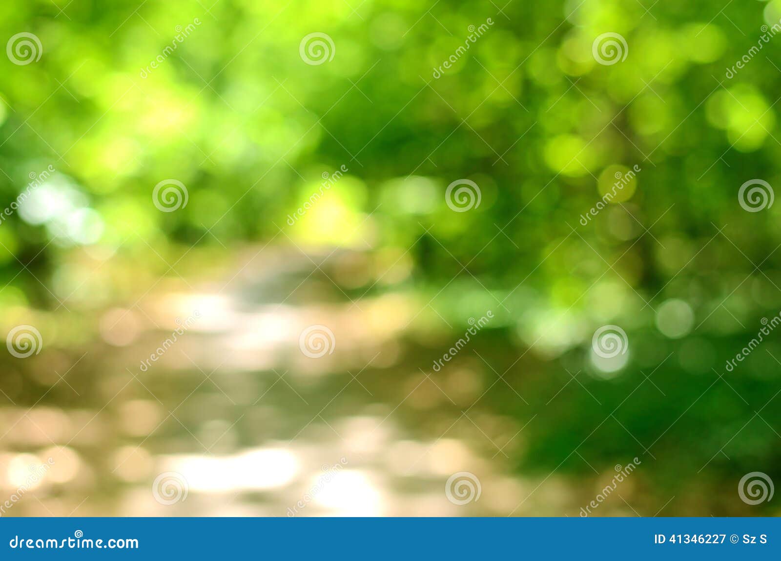 Blurred forest background stock image. Image of blur - 41346227